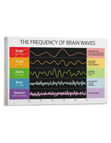Póster de Frecuencia de Onda Cerebral en Lienzo 90x60cm
