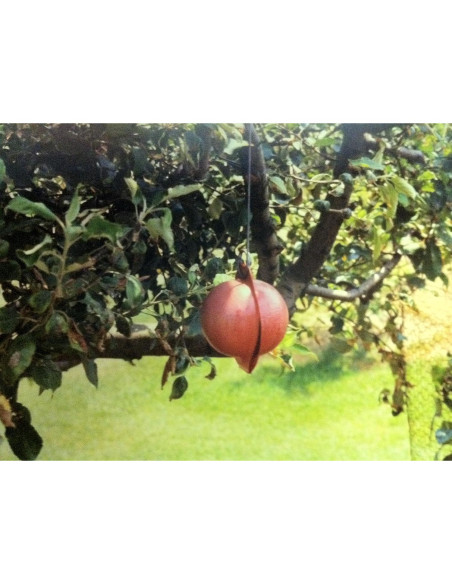 Paquete de 100 Sujetadores de Alambre Galvanizado 30.48 cm