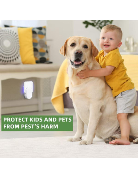 40 Tarjetas de Pegamento Reemplazo Safer Home y Dynatrap