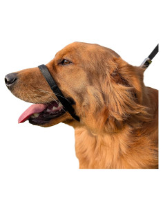 Collar de Cabeza No-Tira PetsProMax para Perros Pequeños - Ajustable, Negro