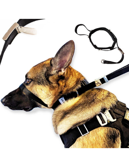 Collar de Cabeza No-Tira PetsProMax para Perros Pequeños - Ajustable, Negro