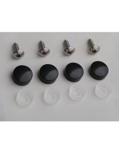 Marco de Placa de Licencia LFPartS Acero Inoxidable con Tornillos M5x16 2