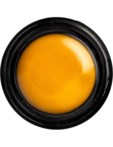 Mascarilla Labial Henné Organics - Hidratante Natural 79g