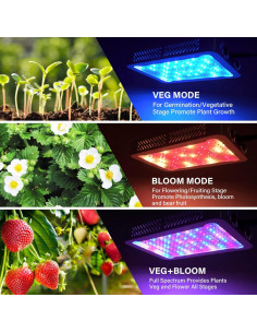 Luz de Cultivo LED Beelux 1000W Espectro Completo para Plantas 2