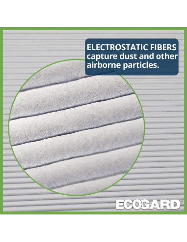 Filtro de Aire de Cabina ECOGARD XC35491 para Toyota Corolla 2002-2008