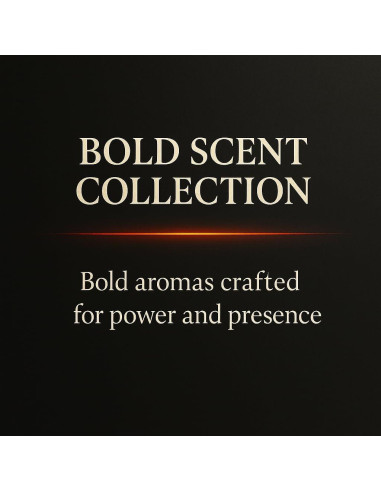 Recarga Ambientador de Coche KESOCI Set 12 x 10 ml Fragancias Intensas