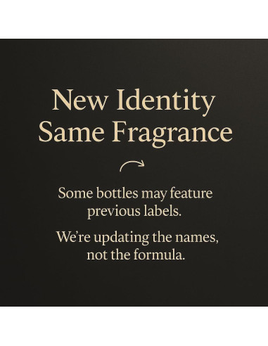 Recarga Ambientador de Coche KESOCI Set 12 x 10 ml Fragancias Intensas