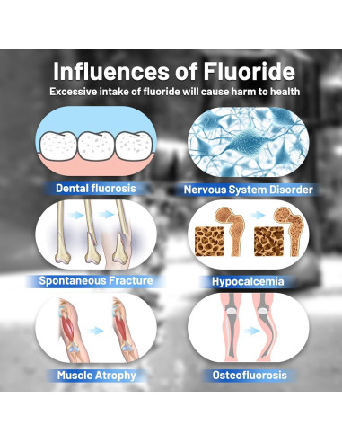 Filtros de Fluoruros Purewell FL-2 Paquete de 2, 5 Etapas