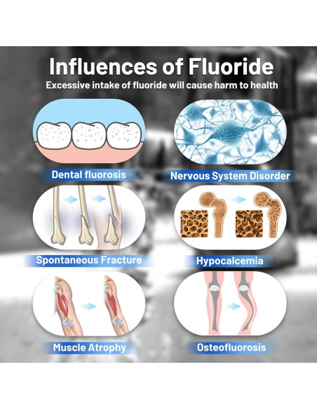 Filtros de Fluoruros Purewell FL-2 Paquete de 2, 5 Etapas Filtros de Fluoruros Purewell FL-2 Paquete de 2, 5 Etapas