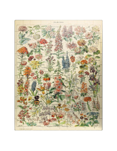 Rompecabezas 100 Piezas MyPuzzle Fleurs Adolphe Millot