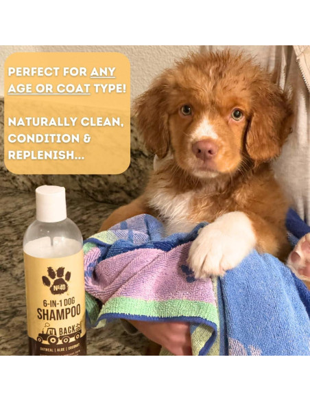 Champú Natural para Perros Back 40 Dogs 6 en 1 Avena 500ml