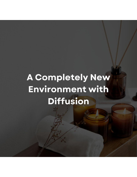 Aceite Difusor de Santal 50ml Scentia - Aroma Duradero Aceite Difusor de Santal 50ml Scentia - Aroma Duradero