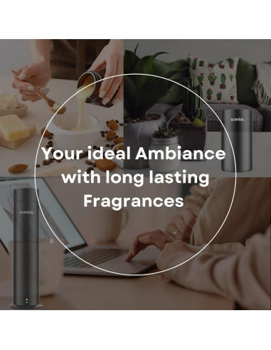 Aceite Difusor de Santal 50ml Scentia - Aroma Duradero