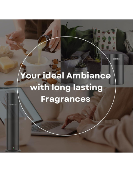 Aceite Difusor de Santal 50ml Scentia - Aroma Duradero Aceite Difusor de Santal 50ml Scentia - Aroma Duradero