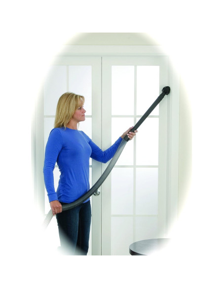 Aspiradora Vertical Bissell BigGreen BGU1451T 1200W + 2 Correas