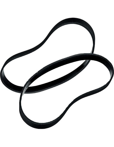 Aspiradora Vertical Bissell BigGreen BGU1451T 1200W + 2 Correas