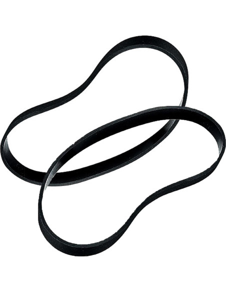 Aspiradora Vertical Bissell BigGreen BGU1451T 1200W + 2 Correas