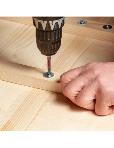 Juego de 10 Puntas Torx T30 Magnéticas 50-152mm Acero S2