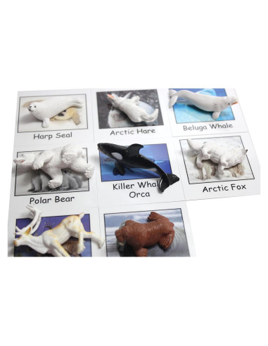 Juego Montessori Emparejamiento Animales Árticos - 9 Figuras y Tarjetas