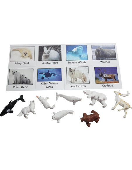 Juego Montessori Emparejamiento Animales Árticos - 9 Figuras y Tarjetas Juego Montessori Emparejamiento Animales Árticos - 9 Figuras y Tarjetas