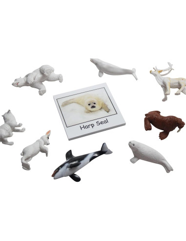 Juego Montessori Emparejamiento Animales Árticos - 9 Figuras y Tarjetas