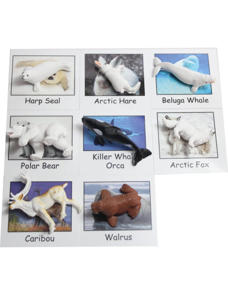 Juego Montessori Emparejamiento Animales Árticos - 9 Figuras y Tarjetas Juego Montessori Emparejamiento Animales Árticos - 9 Figuras y Tarjetas