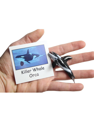 Juego Montessori Emparejamiento Animales Árticos - 9 Figuras y Tarjetas