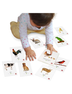 Tarjetas Didácticas Tool-be Animales de Granja 18 Piezas