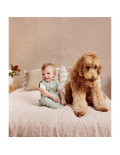 Bolsa de Transición Swaddle Up Love to Dream - Oliva L (8.5-11kg) 2