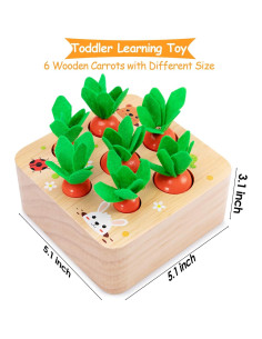 Juguetes Montessori de Madera AOJOYS para Bebés 1-3 Años 2