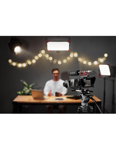 Micrófono de escopeta RDE NTG4 supercardioide 20 kHz