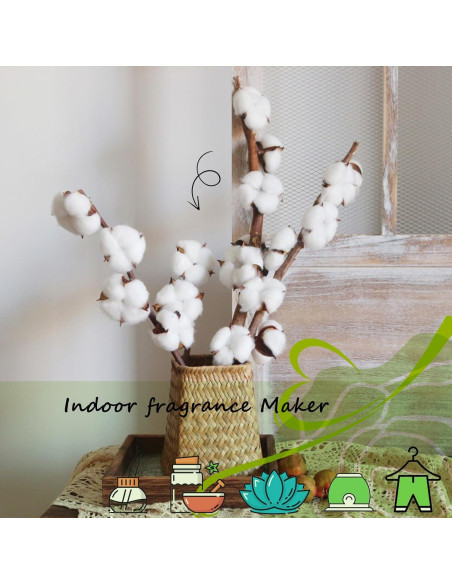 Set de Aceites Esenciales Airoomoil Albahaca y Jojoba 60ml