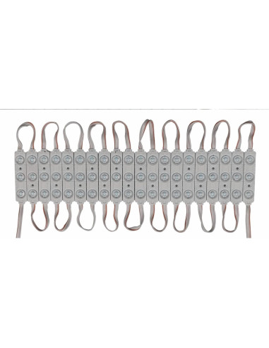 Luces LED Erudite 20Pcs 5730SMD Blanco 3.66m DC12V Impermeables