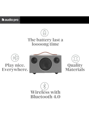 Altavoz Inalámbrico Portátil Audio Pro Addon T3+ - Gris