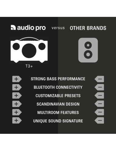 Altavoz Inalámbrico Portátil Audio Pro Addon T3+ - Gris