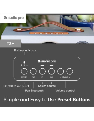Altavoz Inalámbrico Portátil Audio Pro Addon T3+ - Gris