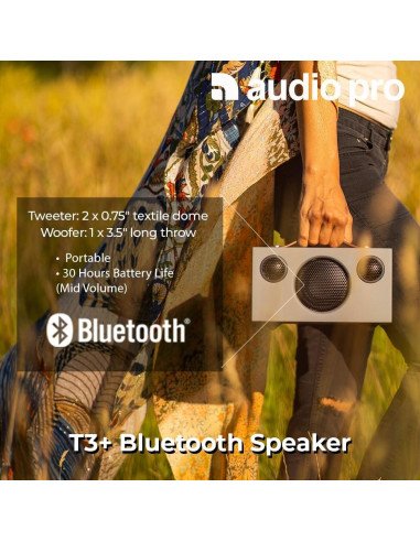Altavoz Inalámbrico Portátil Audio Pro Addon T3+ - Gris
