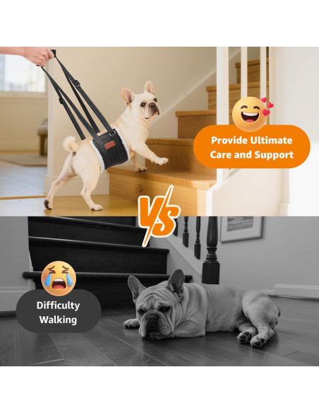 Sling Portátil para Perros Loobani - Soporte de Cadera Pequeño