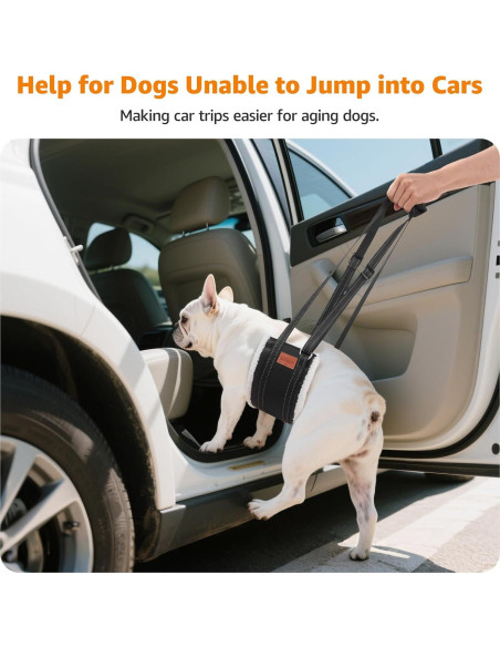 Sling Portátil para Perros Loobani - Soporte de Cadera Pequeño