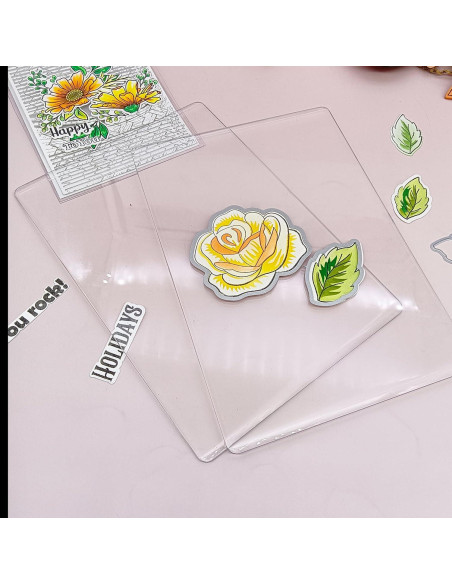 4 Almohadillas de Corte Acrílicas AlinaCraft 22.5x15.5cm