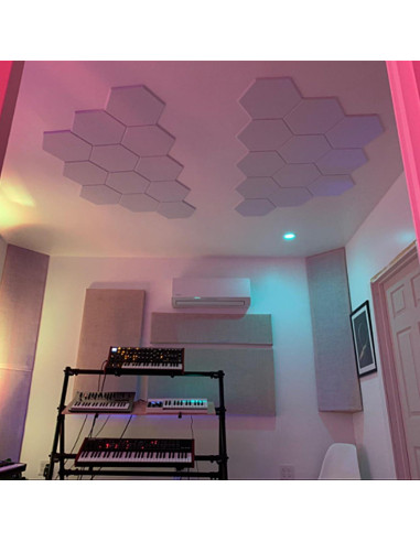 Paneles Acústicos Autoadhesivos 12 Pcs 30.48x25.4 cm Aislamiento