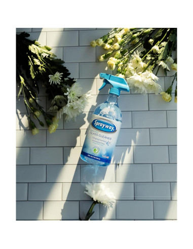 Limpiador de Vidrios Sprayway 0.95L Paquete de 6 Sin Amoníaco