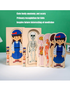 Rompecabezas de Anatomía Infantil de Madera Montessori 5 Capas 2