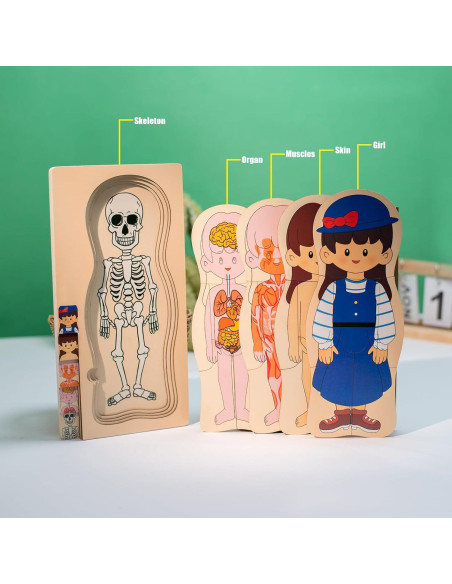 Rompecabezas de Anatomía Infantil de Madera Montessori 5 Capas