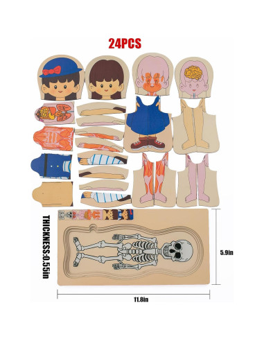 Rompecabezas de Anatomía Infantil de Madera Montessori 5 Capas