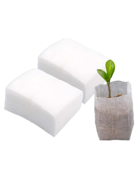 100 Bolsas de Vivero Belit 10.7cm para Plántulas - Alta Supervivencia