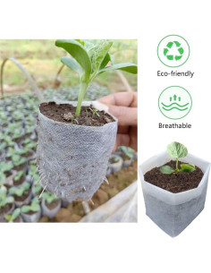 100 Bolsas de Vivero Belit 10.7cm para Plántulas - Alta Supervivencia 2
