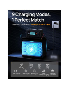 Cargador Inteligente de Batería DC HOUSE 5A 12V LiFePO4 Ácido Plomo 2