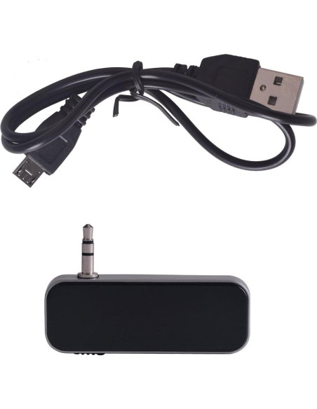 Adaptador de Audio FM Beinhome BH - Transmisor Inalámbrico con Pantalla Digital