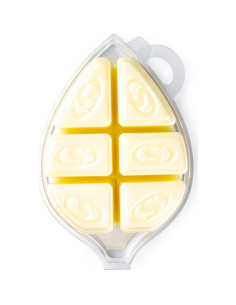 Vela Aromatizada de Cera de Soja Gardenia Shortie's 85 Gr 2